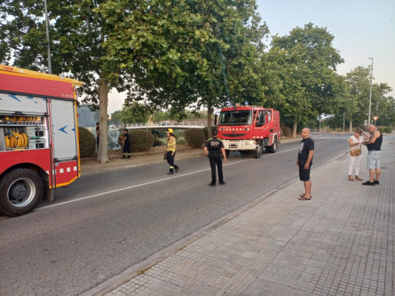 Incendi riera Foix (8).jpeg