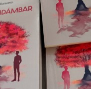 Liquidambar.jpg