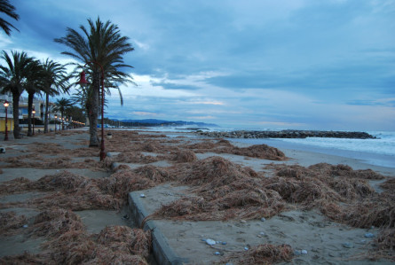 Més efectes del temporal de gregal