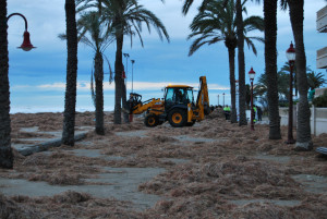 Màquina retroexcavadora treballant al passeig