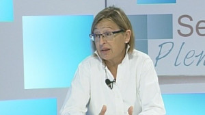 Mònica Miquel Sessió Plenària