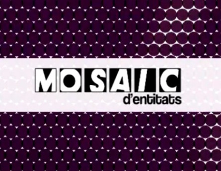 Mosaic entitats