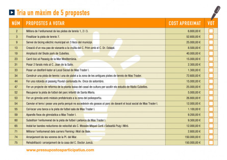 Opcions pressupost 2018