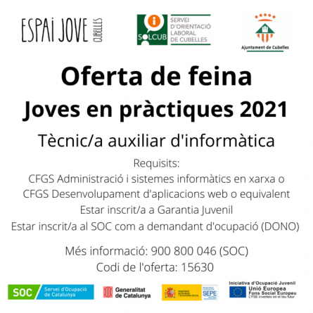 Garantia juvenil