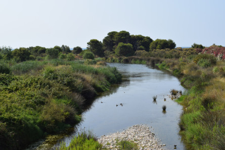 Desembocadura del riu Foix