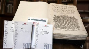 El registre està en marxa des del 3 d'abril