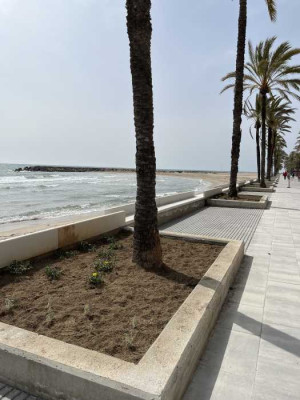 passeig escocells-ok.JPG