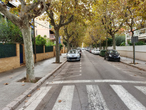 Plàtans del passeig de Narcís Bardají