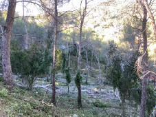Prevenció incendis Mas Trader II
