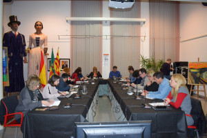 Ple del 19 de febrer de 2019