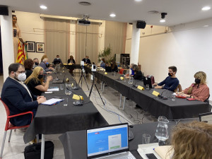 Ple extraordinari de novembre de 2021