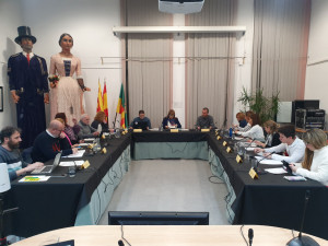 Moment del ple de gener de 2020