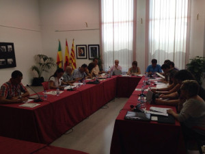 Ple juliol
