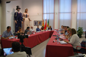 Sessió plenària del mes de maig