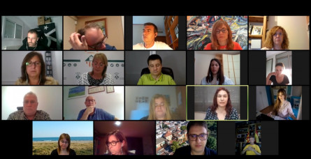 Ple telemàtic maig