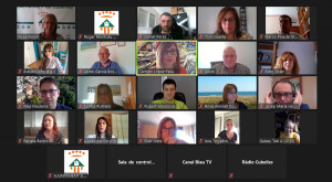Ple telemàtic maig (2)