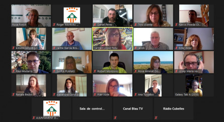 Ple telemàtic maig (2)