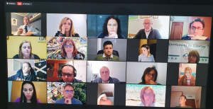 Instant del ple telemàtic