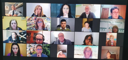 Assistents al ple de novembre de 2020