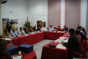 Ple pressupost 09 web