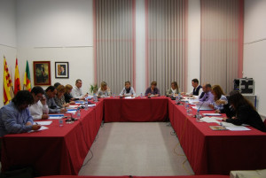 Ple març 2013