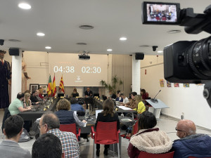 Ple_març.JPG