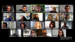 Sessió extraordinària del ple del 29 d'abril