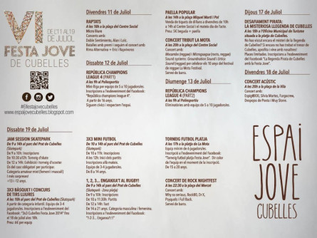Programa VI Festa Jove