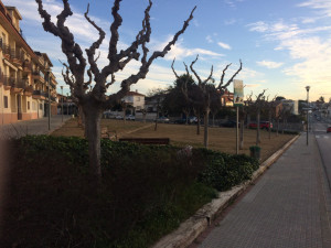 plaça Anxaneta