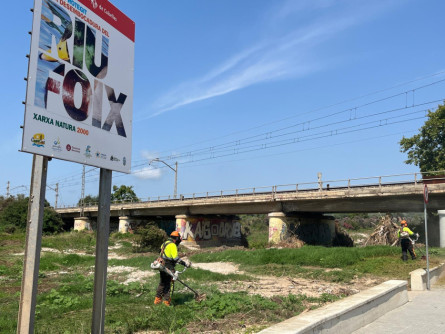 restauració desembocadura Foix (10).jpeg