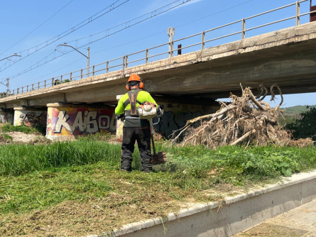 restauració desembocadura Foix (11).jpeg