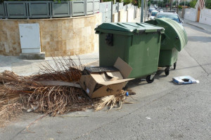 Restes de poda al carrer (J. Sánchez)