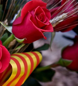 santjordi