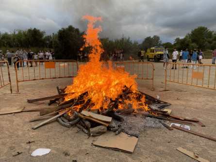 Sant Joan 2024_9.JPG