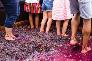 seccion-baja-gente-saltando-sobre-uvas_1048944-29204030.jpg