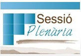 Sessio plenaria