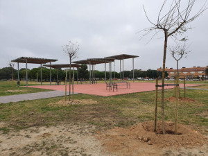 Substitució de l'arbrat del Parc del Prat