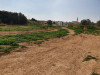 Imatge de la parcel·la on es construirà el nou Institut Les Vinyes