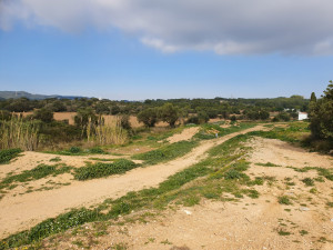 Parcel·la on s'ubicarà el futur institut