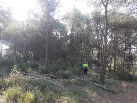 Treballs als boscos de Mas Baró, Gallifa i Molí de l'Estapé