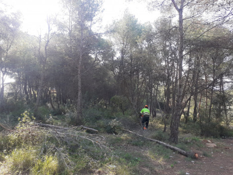 Treballs als boscos de Mas Baró, Gallifa i Molí de l'Estapé