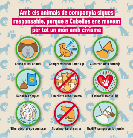 Recomanacions animals de companyia