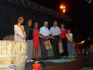 Verema09 web