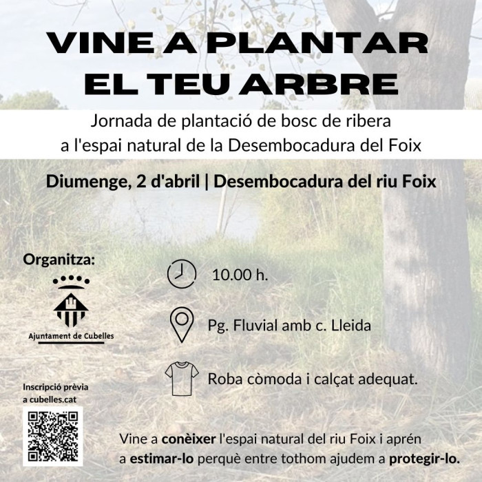 Vine a plantar el teu arbre