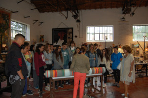 Visita INS Cubelles Arles