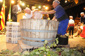 Festa de la Verema 2017