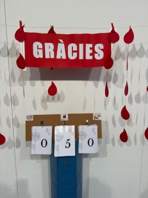 080525 MARATÓ SANG 3.jpg
