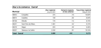 ATUR REGISTRAT JUNY 2025.png